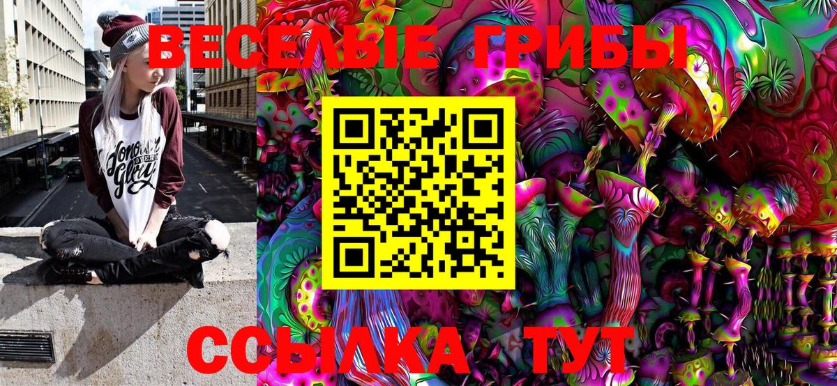Петропавловск-Камчатский  Псилоцибиновые грибы MAGIC MUSHROOMS  Псилоцибиновые грибы Cubensis  Вход с VPN 