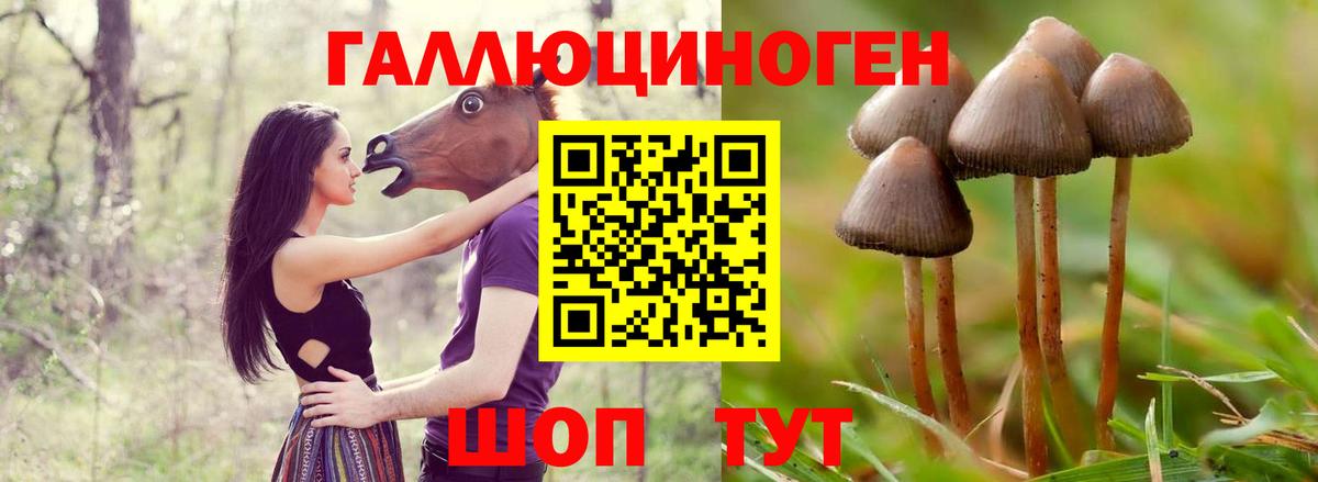 Галлюциногенные грибы MAGIC MUSHROOMS Петропавловск-Камчатский
